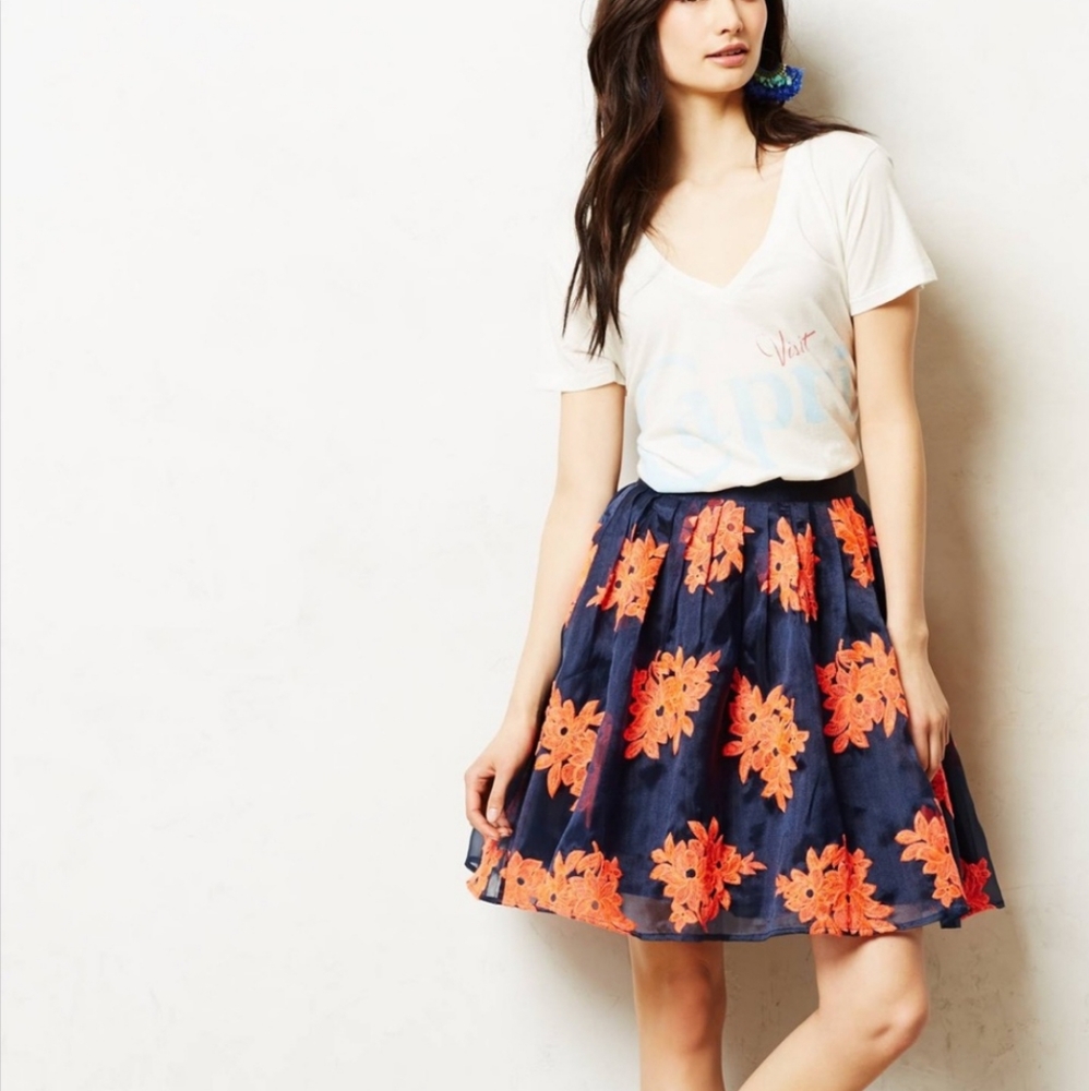 Anthro Skirt